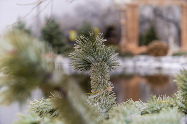 Similar image 22295522