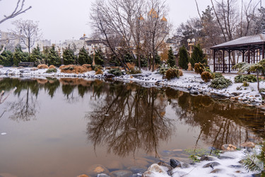 Similar image 22295525