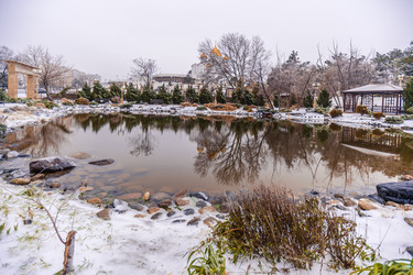 Similar image 22295527