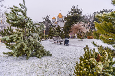 Similar image 22295529