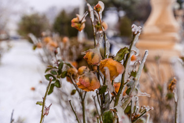 Similar image 22295533