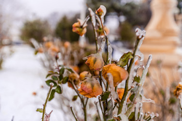 Similar image 22295534