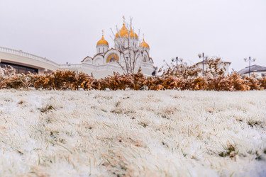 Similar image 22295536