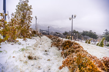 Similar image 22295537