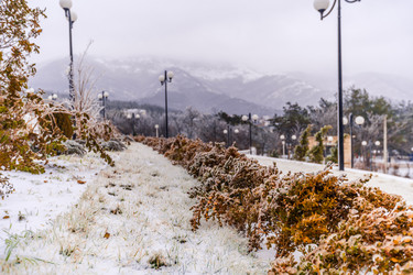 Similar image 22295538