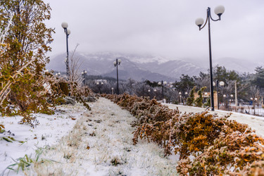 Similar image 22295539