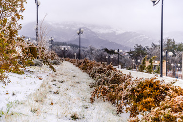 Similar image 22295540