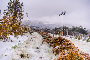 Similar image 22295592