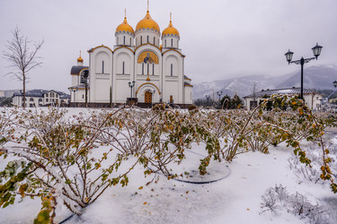 Similar image 22295593