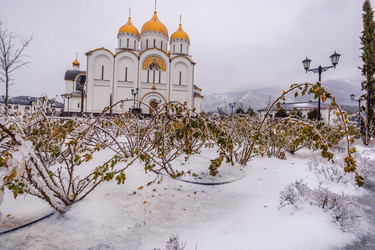 Similar image 22295595