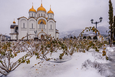 Similar image 22295596