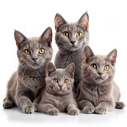 Similar image 22299745