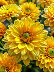 Similar image 22299746