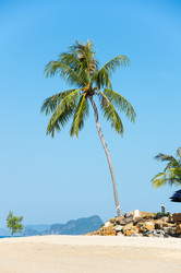 Similar image 22299094