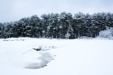 Similar image 22299103