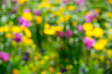 Similar image 22299114