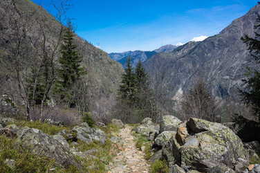 Similar image 22299298