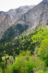 Similar image 22299302