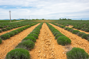 Similar image 22299309