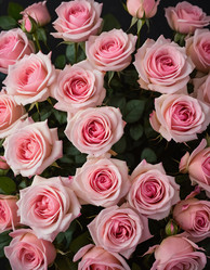 Similar image 22310660