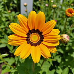 Similar image 22317640