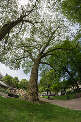 Similar image 22299461