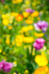 Similar image 22299462