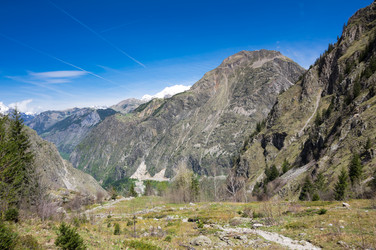 Similar image 22299468