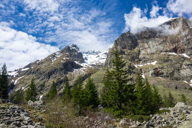 Similar image 22299469