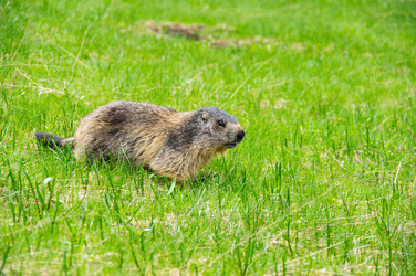 Similar image 22299472