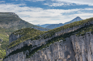 Similar image 22299477