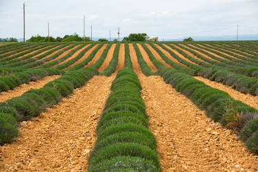 Similar image 22299483