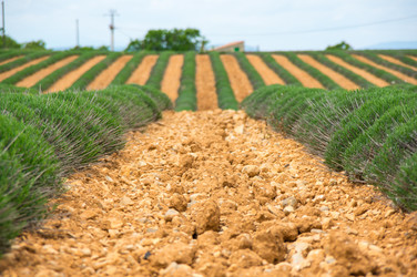 Similar image 22299484