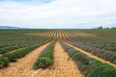 Similar image 22299562