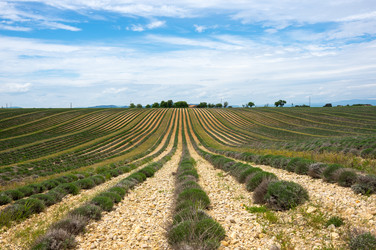 Similar image 22299563