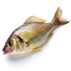 Similar image 22327442