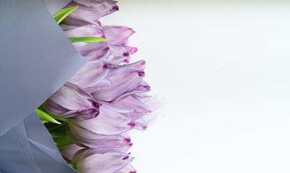 Similar image 22292598