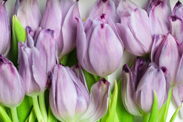 Similar image 22292599