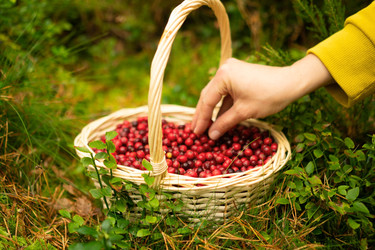 Similar image 22292606