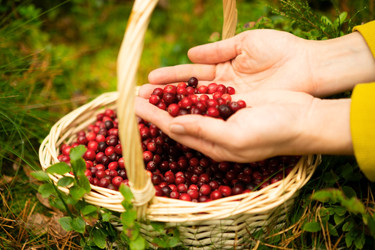 Similar image 22292607