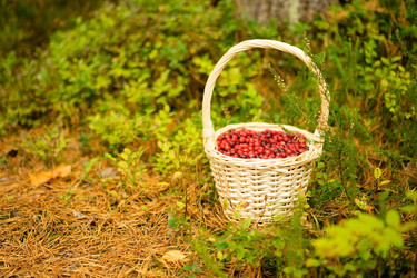 Similar image 22292608