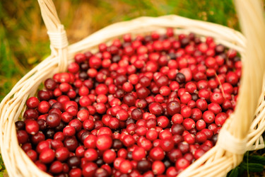 Similar image 22292610