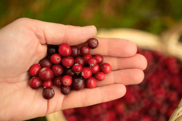 Similar image 22292611