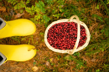 Similar image 22292612