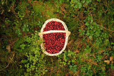 Similar image 22292613