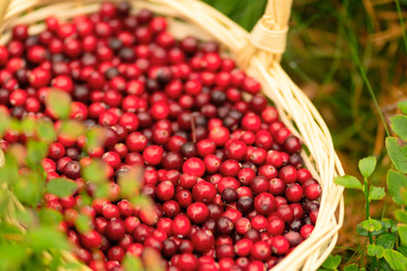 Similar image 22292615