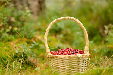 Similar image 22292617