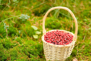 Similar image 22292619