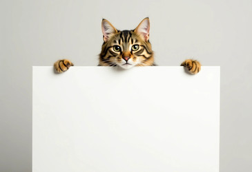 Similar image 22300937