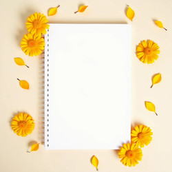 Similar image 22310793